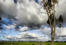 开云体育官网：巴赫参访北京奥运博物馆 盛赞“双奥遗产”利用2025-02-21.