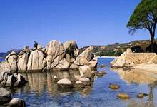 开云体育官网：国足归化历史上第一大坑非他莫属！高拉特“都不如他享受”？.